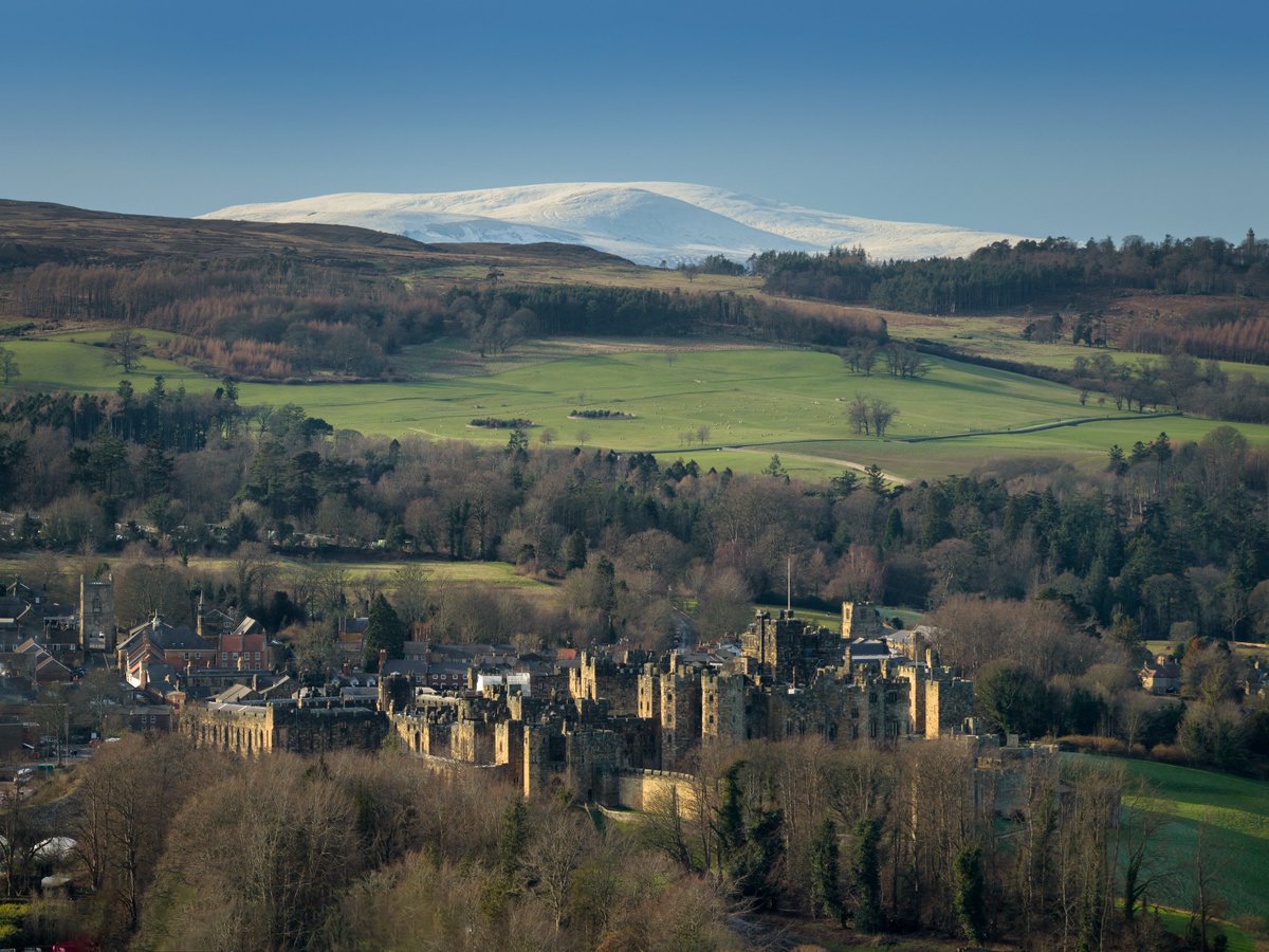 Northumberland Photography tweet media