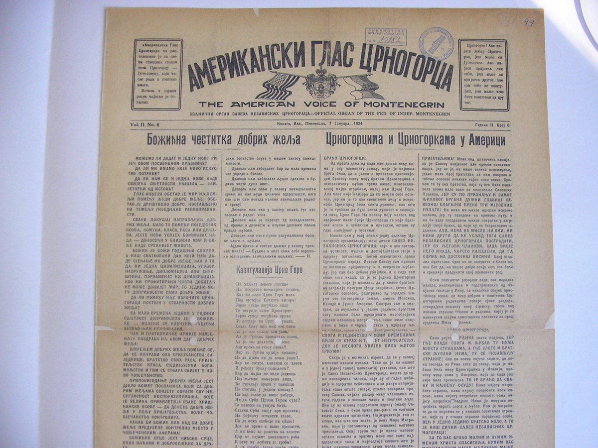 Montenegrin America tweet media