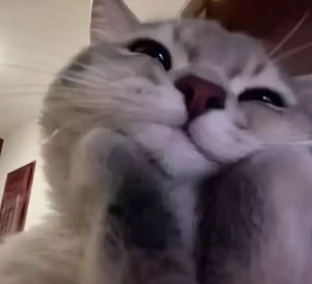 علي|ALi tweet media