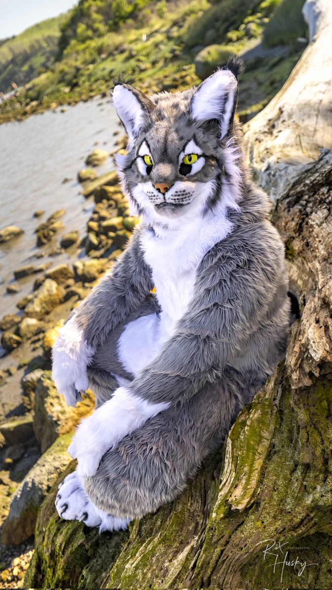 Eupharrow 🔜 LVFC tweet media