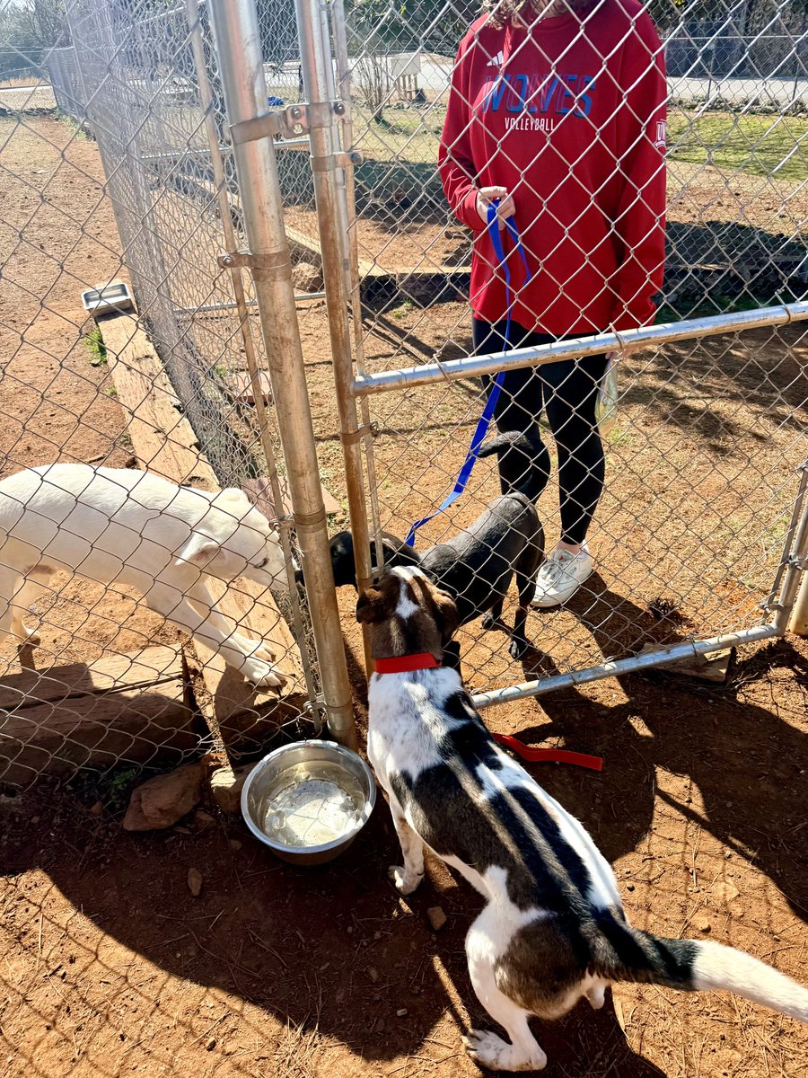 UWG Volleyball 🏐 tweet media