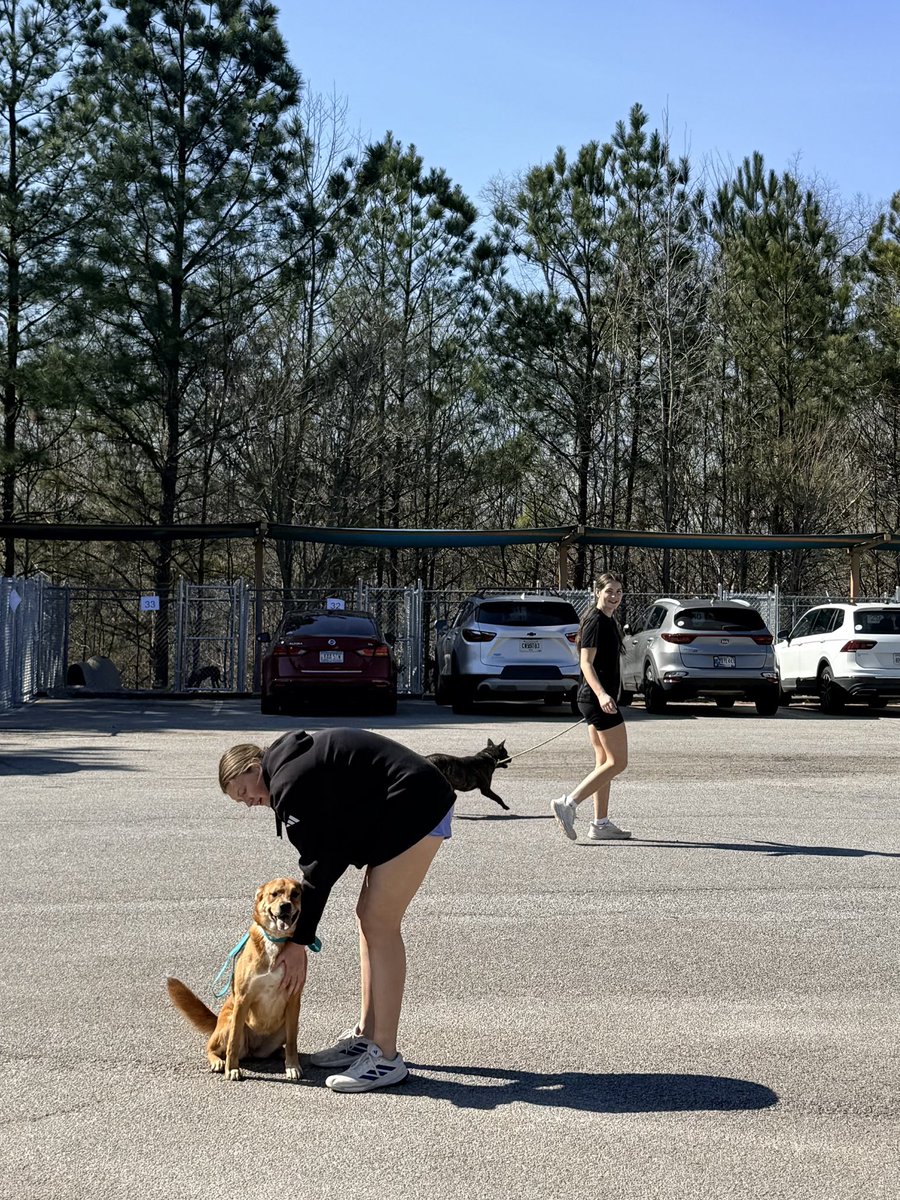 UWG Volleyball 🏐 tweet media