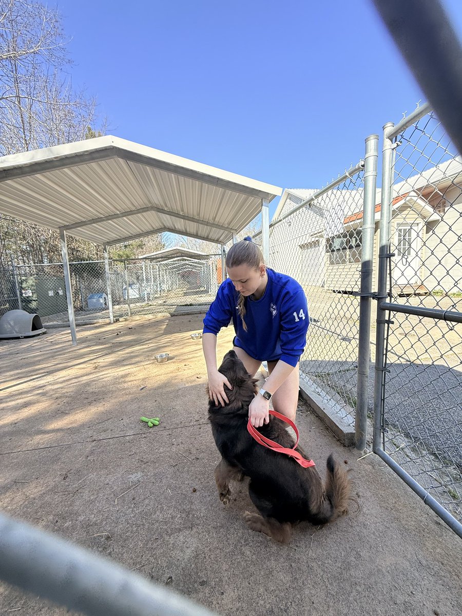UWG Volleyball 🏐 tweet media