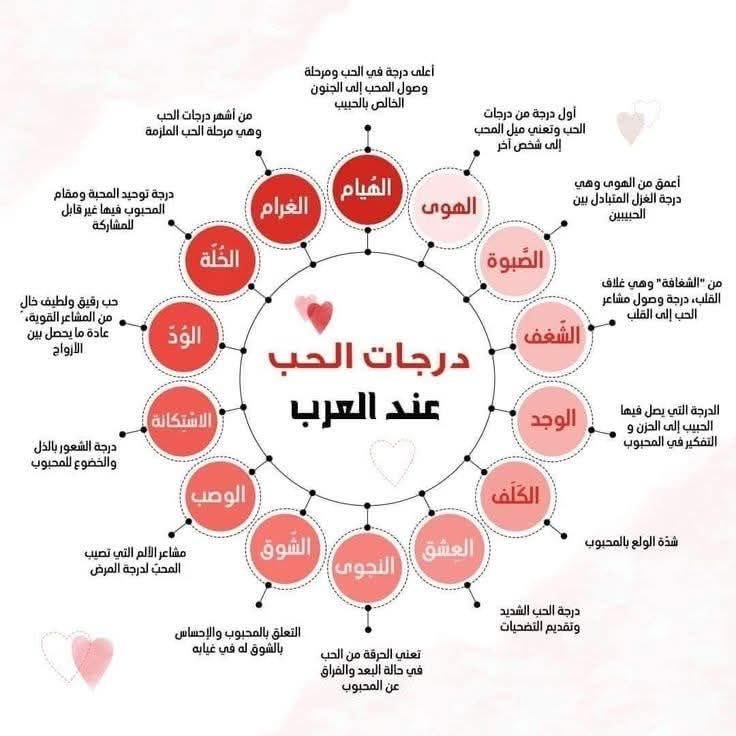 🕊 أحلام مستغانمي tweet media