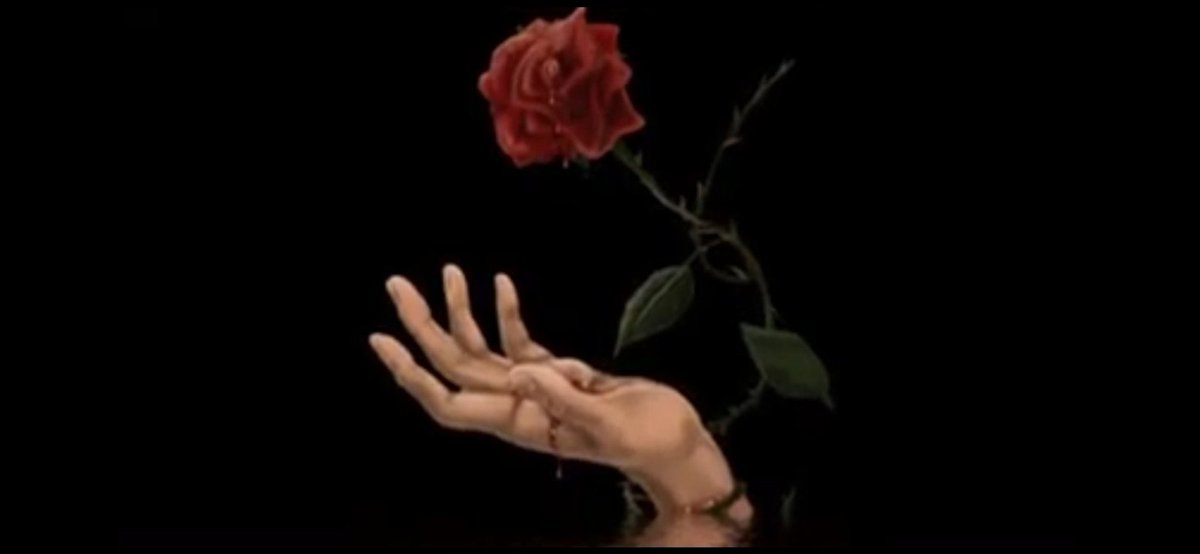 İçimin Dargın Aşığı,
Hiç unutmadı SeNi.
Yokluğun kadar,
Hiç bir KıŞ üşütmedi BeNi...
#GeceyeBirNot