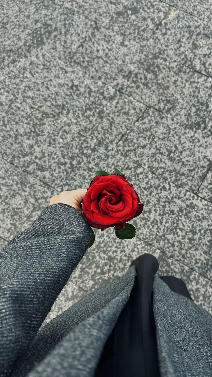 | on dört şubat ✨