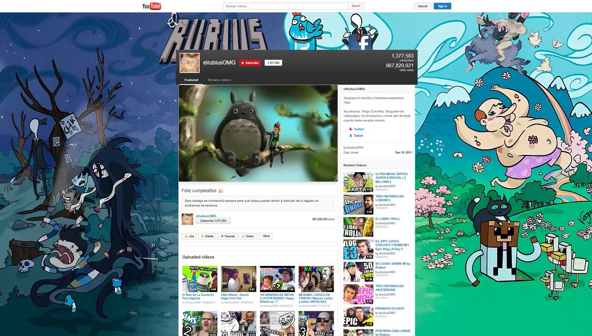 miados de gato tweet media