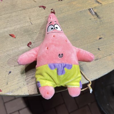 DJ Personenbeförderungsschein tweet media