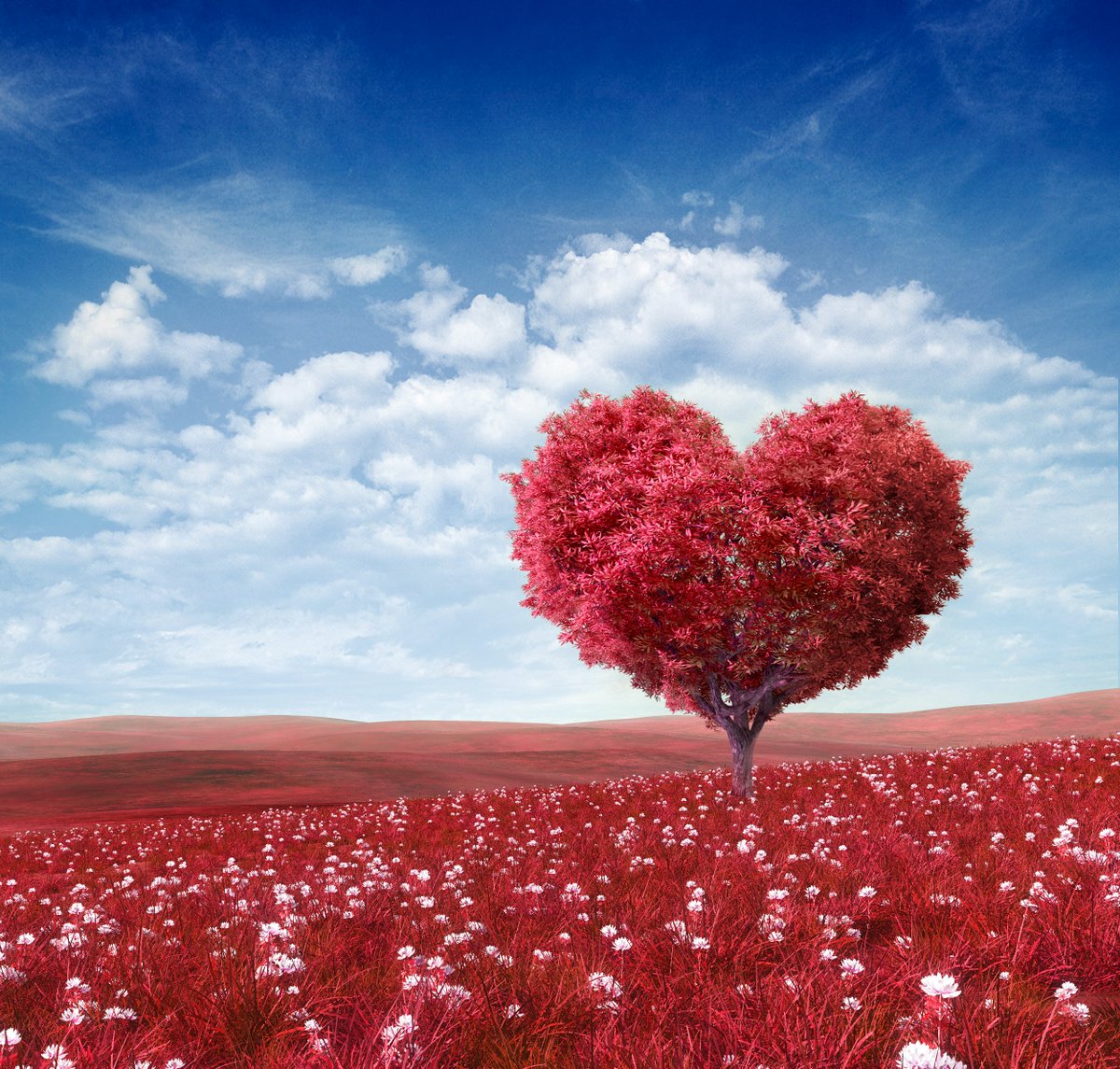 shelsoko's tweet photo. Love your people.
Love your vision.
Love your life enough to build systems that support it. 💘

Operationalize your life and make space for what matters most.

#UltimateManifesto #operationalizeYourLife #ValentinesDay https://t.co/rZqiNlr7BD