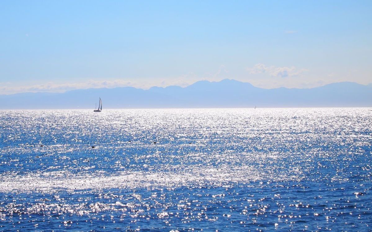 BlueOcean3276's tweet photo. Different shades of the Ocean 🌊 https://t.co/hbC3P0Sasb