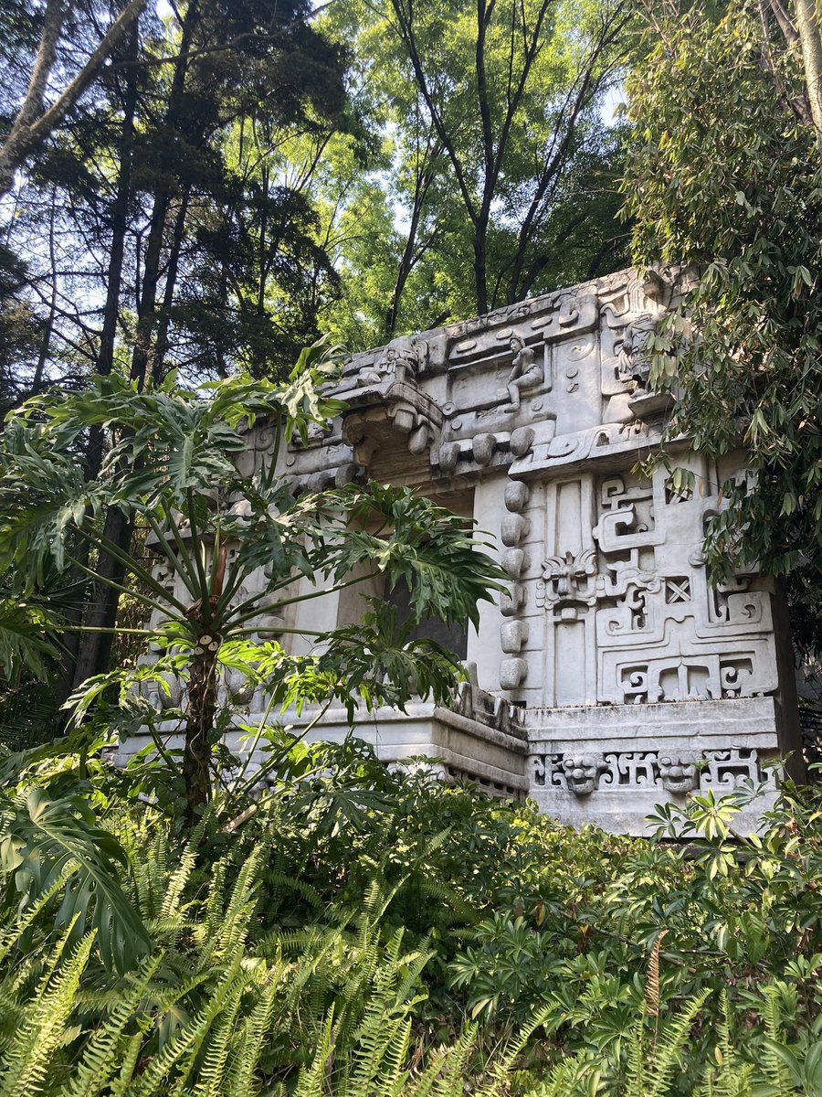 Javier Ibacache tweet media