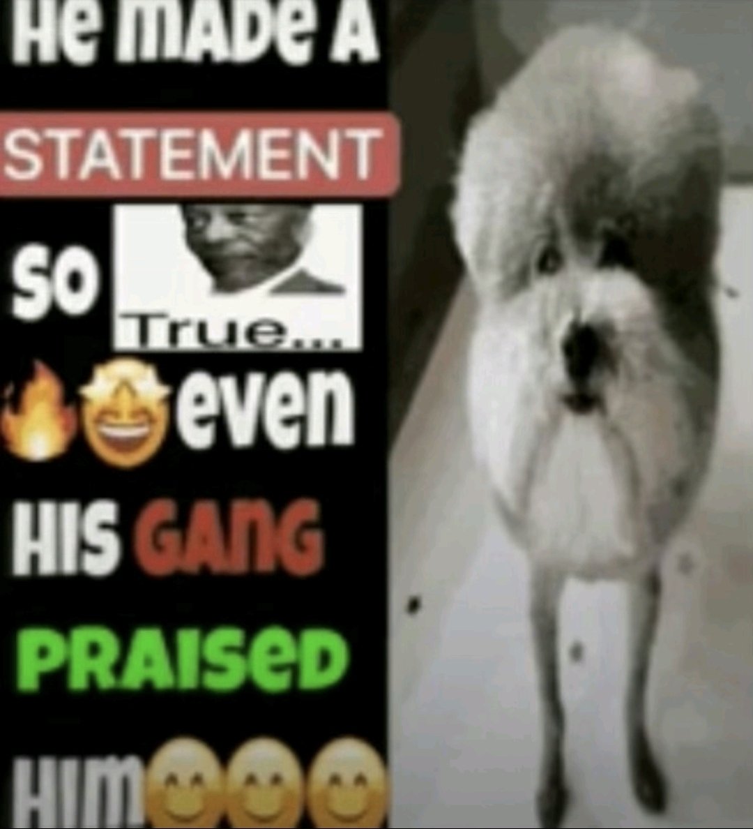 Brodie_Easymac's tweet photo. @wandere_brown @zantorxo https://t.co/G8pZeUfwCO