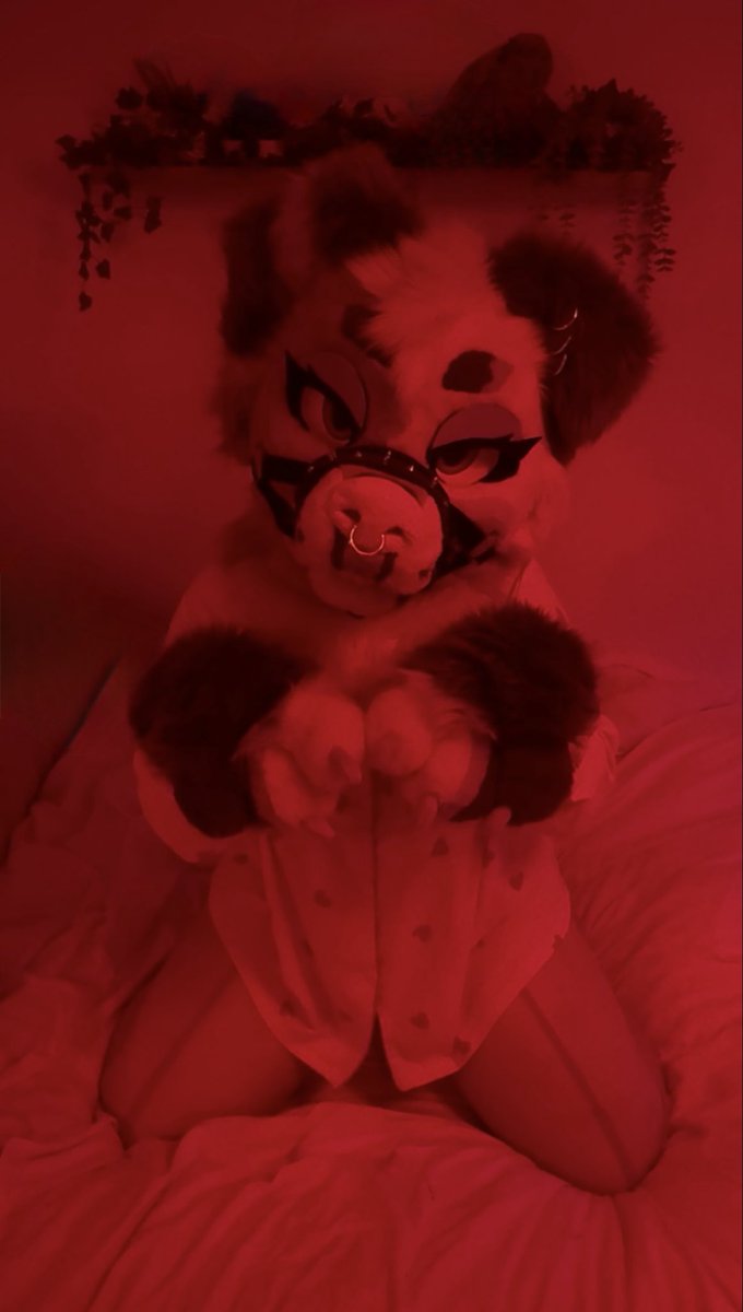 _mochipup's tweet photo. I’m trouble in the cutest way 🫦#furry #furryfandom #fursuit #fursuiter #fursona #furrycommunity #FursuitFriday #valentinday #furries #furrys #fursonas #fursuiters #puppygirl #puppygirltwt https://t.co/hU5IuAC8hx