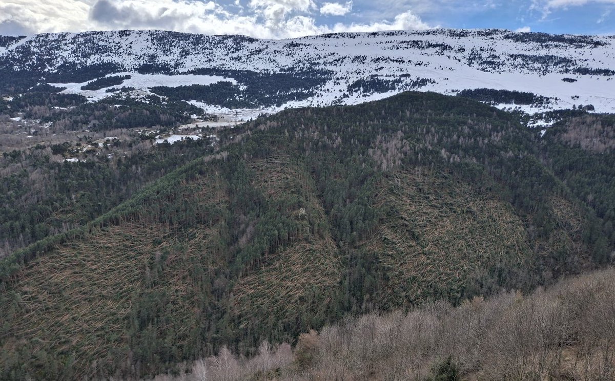 Elpito meteo tweet media