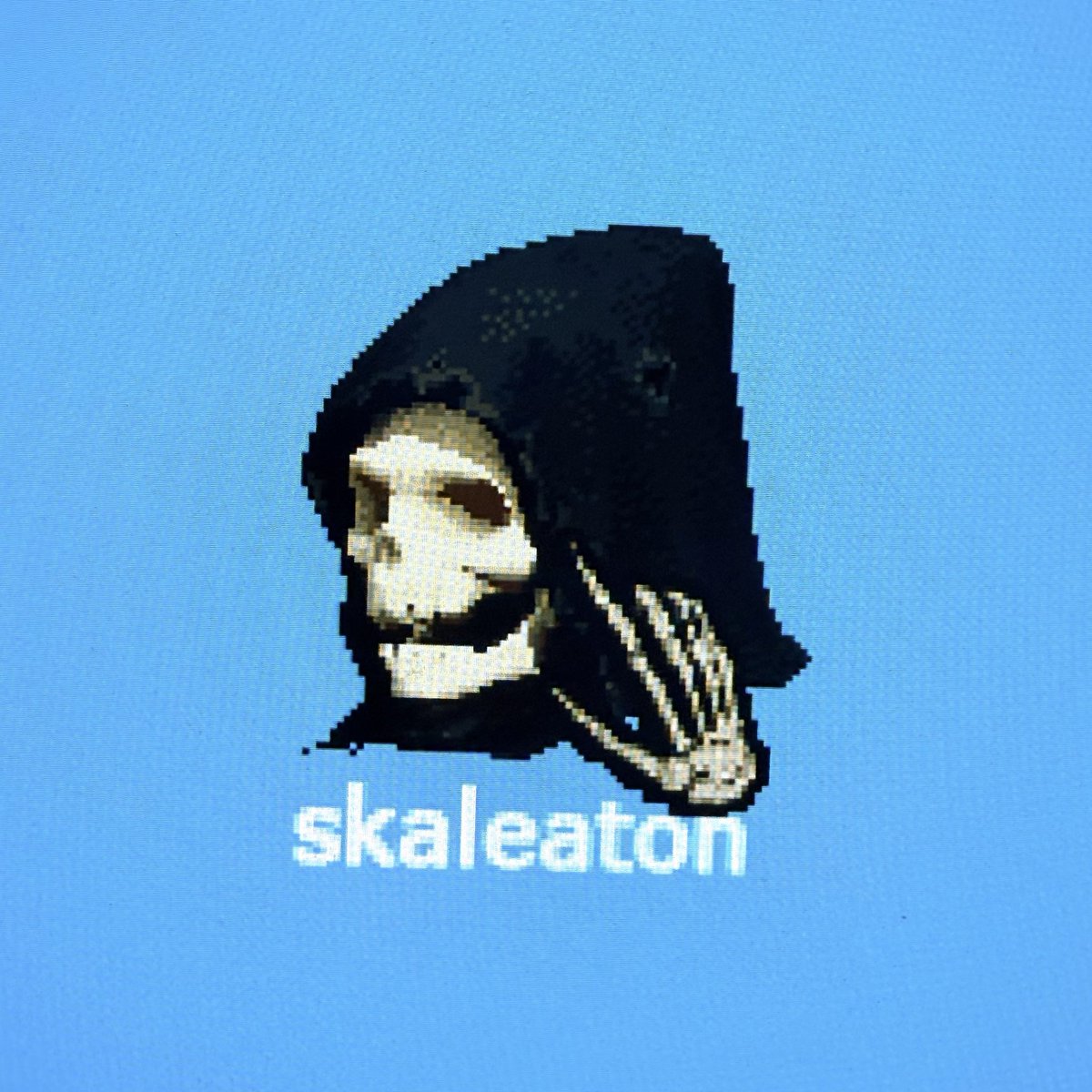 skaleaton tweet media