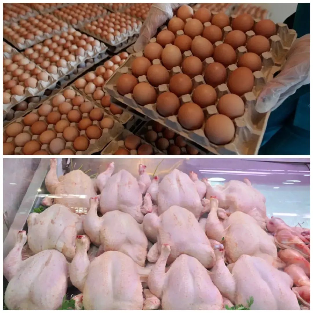 Algerie_aps's tweet photo. #Ramadhan
L' #ONAB met en place un programme pour renforcer l'approvisionnement du marché national en viandes blanches
🔗https://t.co/1iMIMxZmCt https://t.co/C1PSjEkvkJ