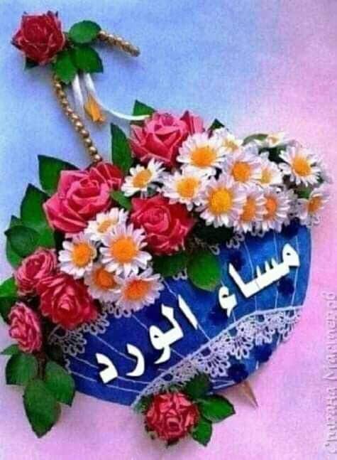 kaddour Abdou tweet media