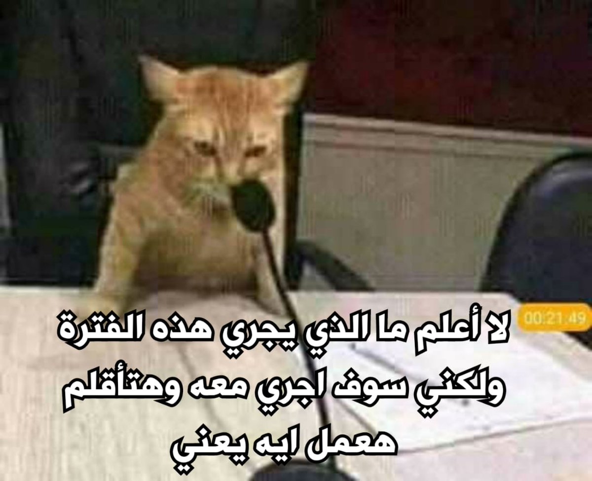 Sarcasm_Station's tweet photo. https://t.co/rcvaKT77Hb