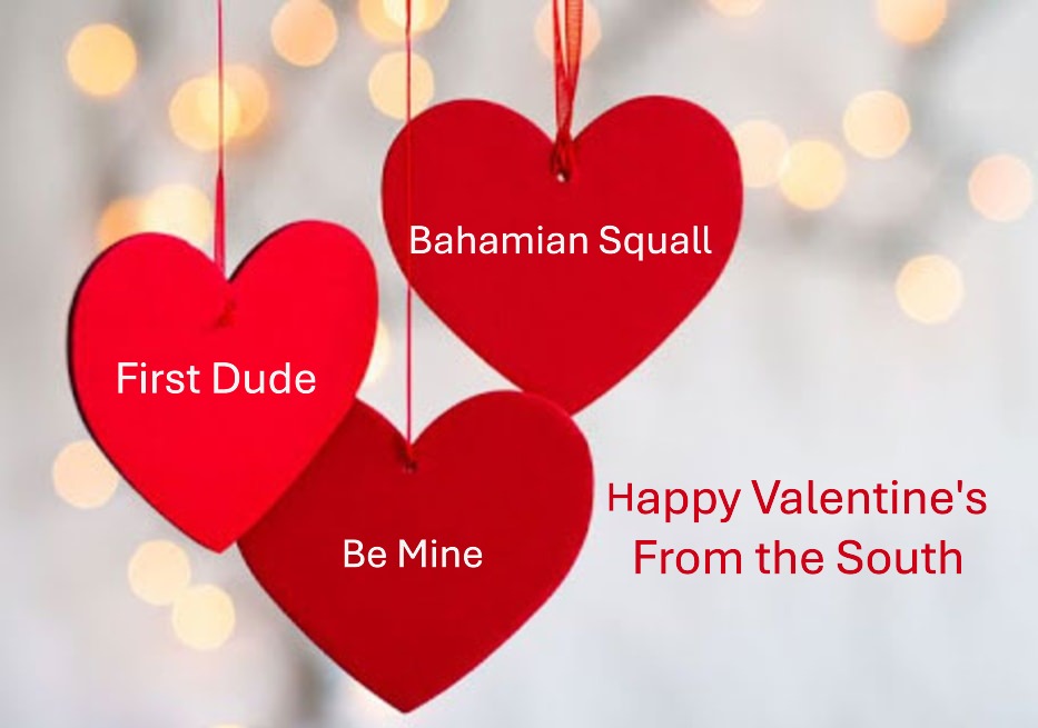 First Dude tweet media