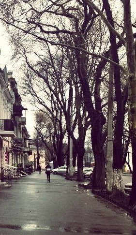 Катерина Галич tweet media