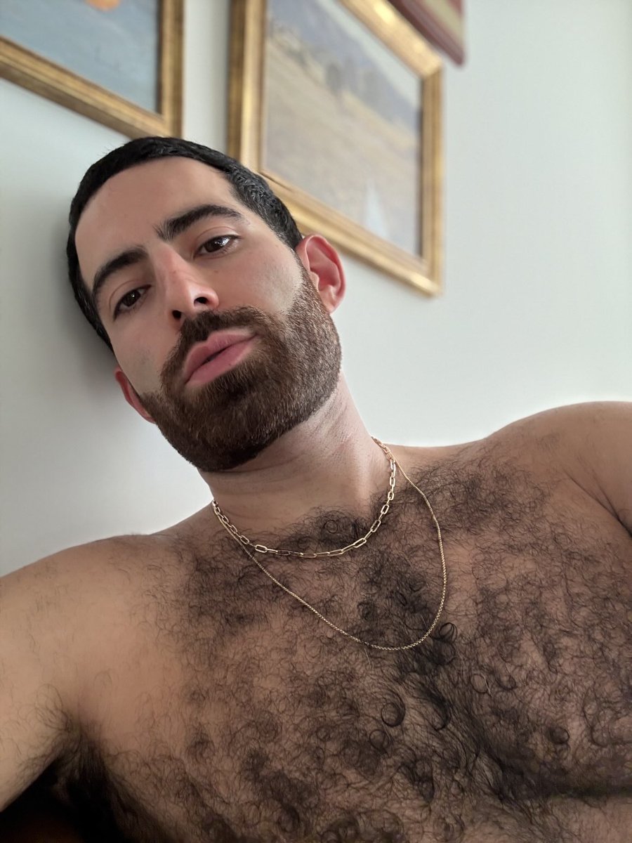 Farhad Mashhad tweet media