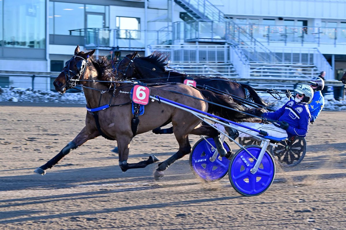 Veikko Haapakangas tweet media
