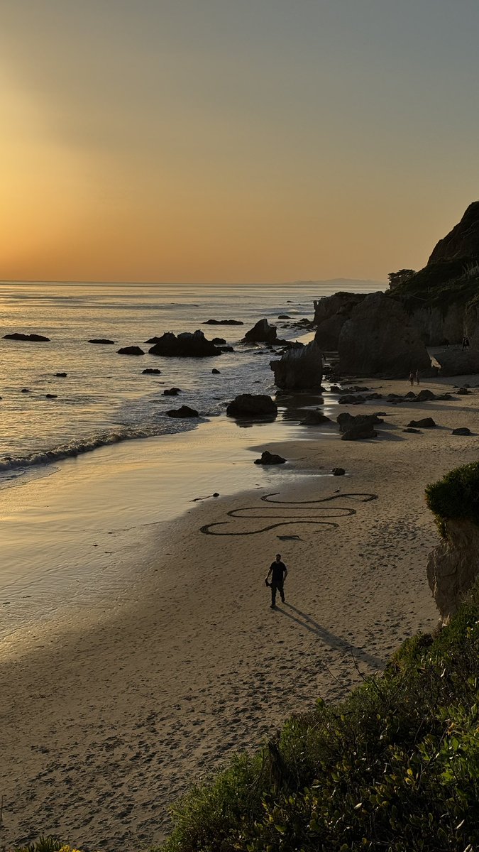 Brodin Plett tweet media