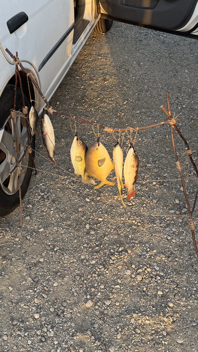 Brodin Plett tweet media