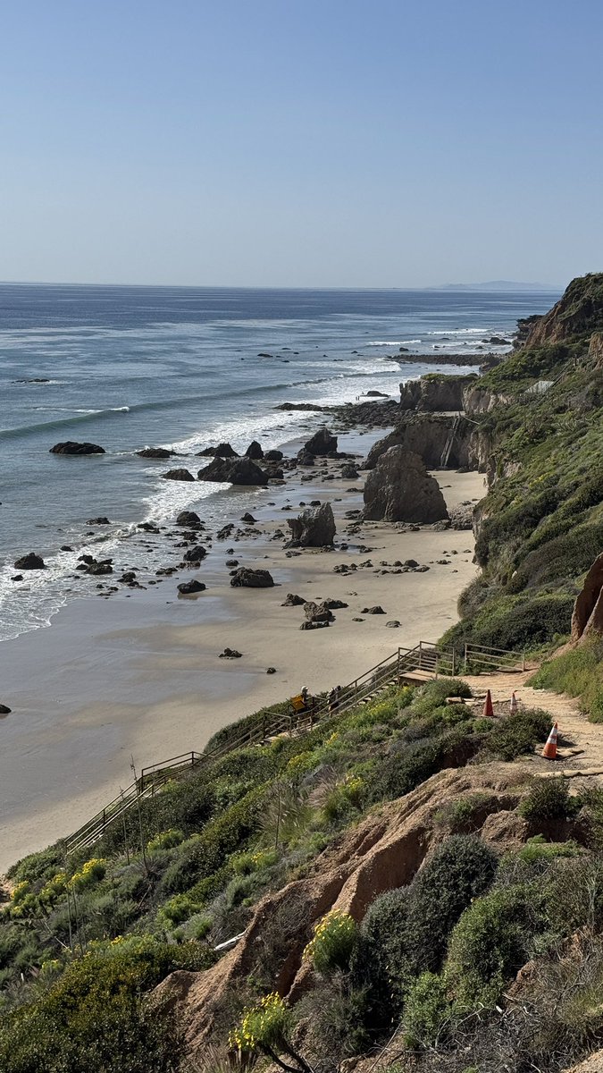 Brodin Plett tweet media