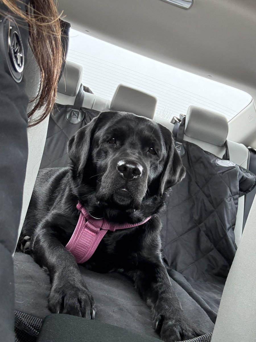 Stormstrike⚡️ tweet media