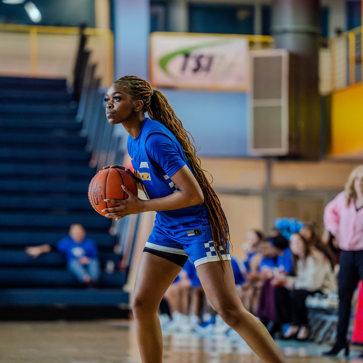New Haven Women's Basketball tweet media
