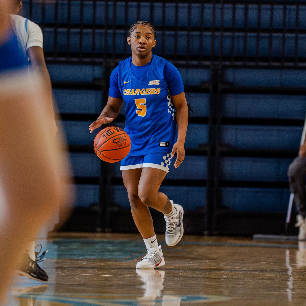 New Haven Women's Basketball tweet media