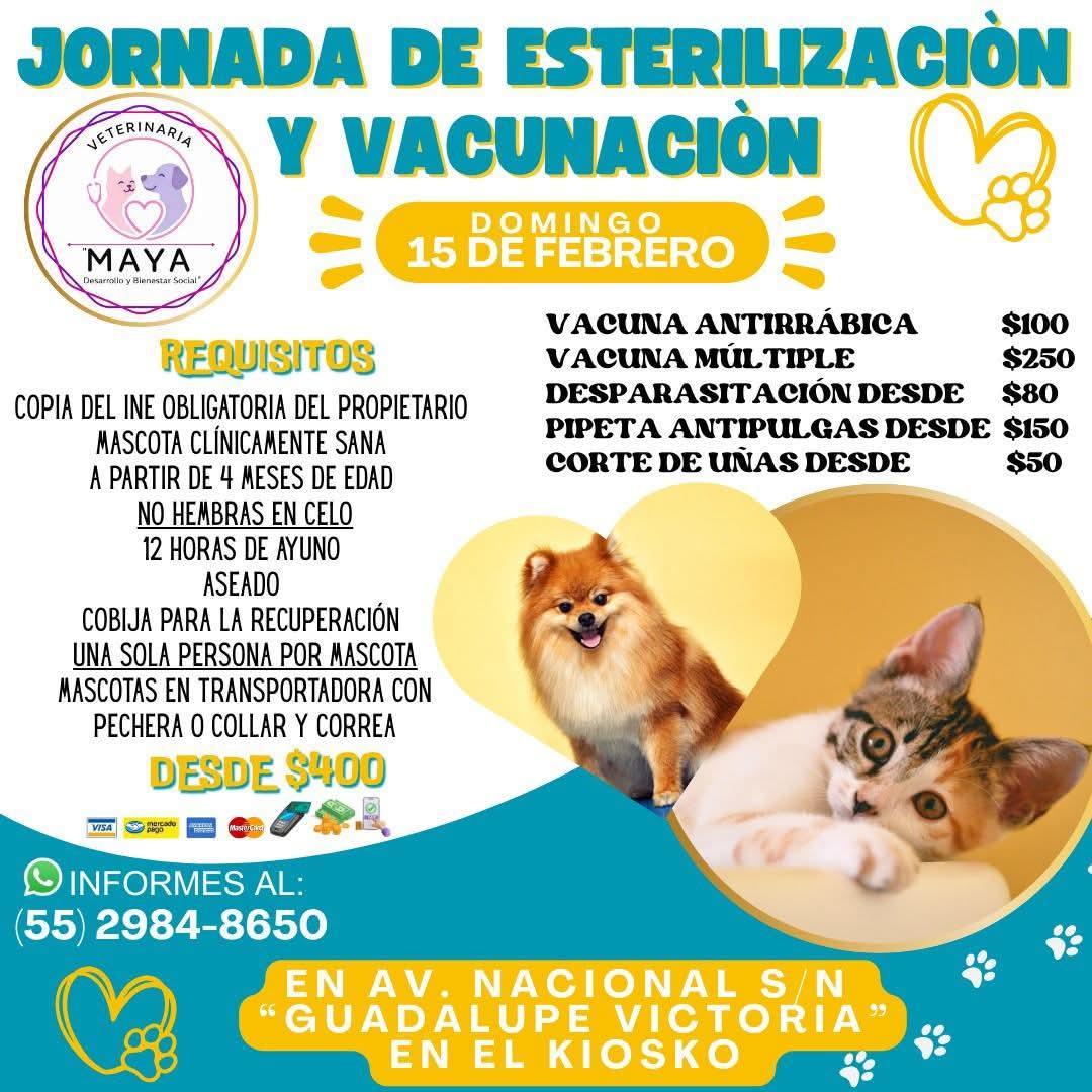 Proyecto Six Pack tweet media