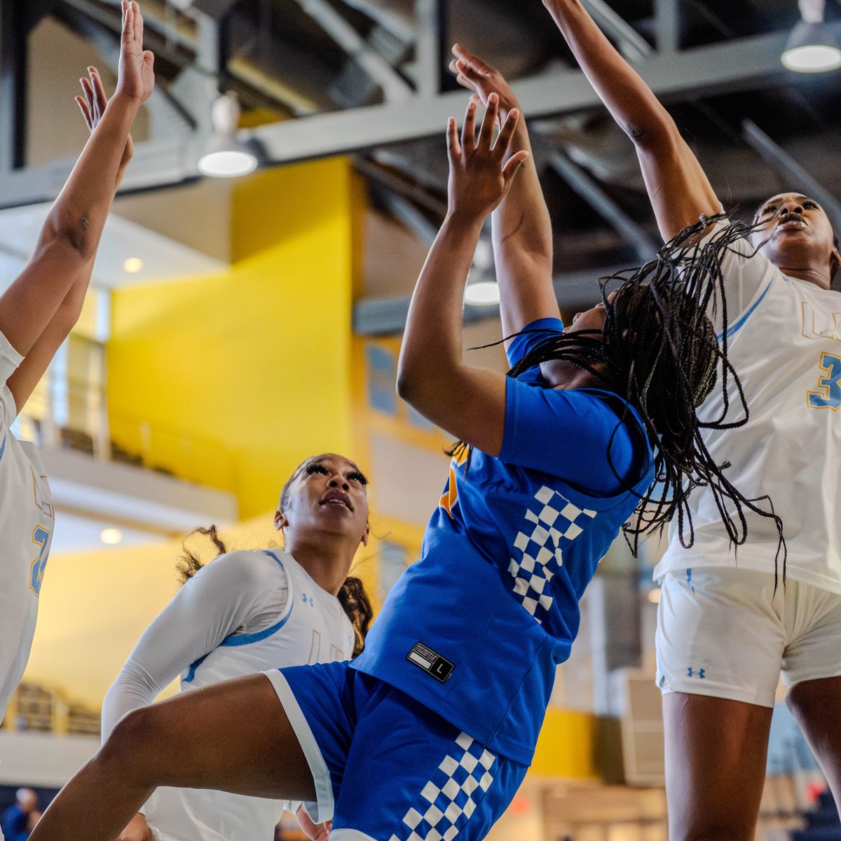 New Haven Women's Basketball tweet media