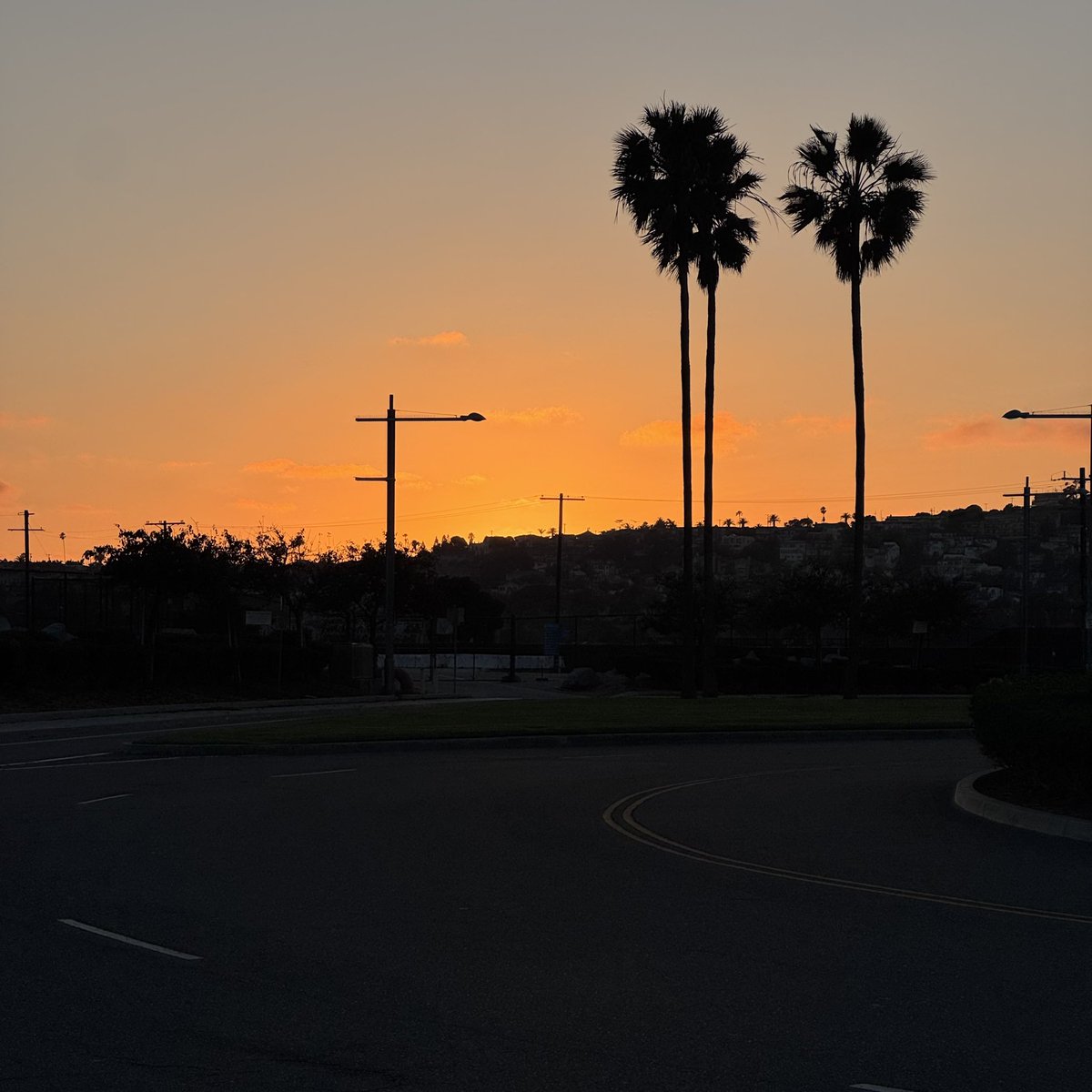 I hit the #blog Link is in my bio or ticoproject.net/f/what-dreams-… It’s short, and I hope starts off funny. #writing #author #california #sunset