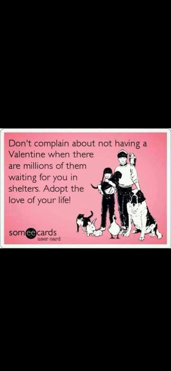 So true🐶🐶🥰💙💝