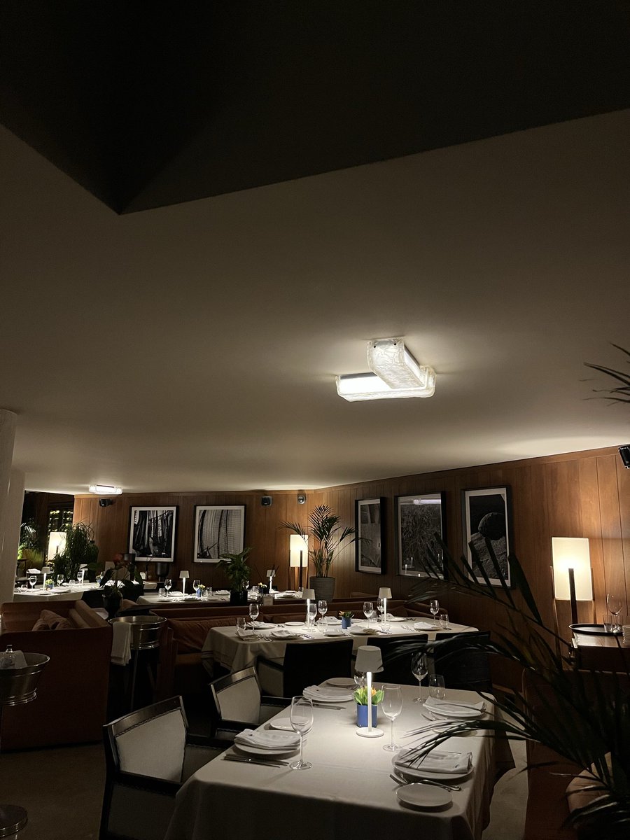 vera 🇹🇷🇵🇸 tweet media