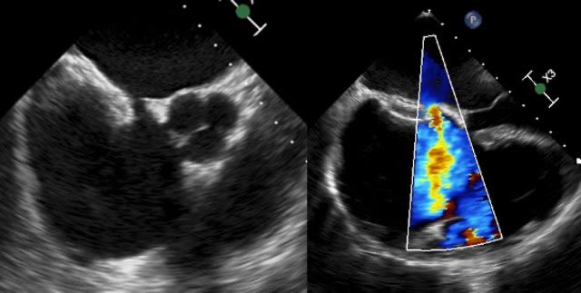 Felipe Hernández tweet media