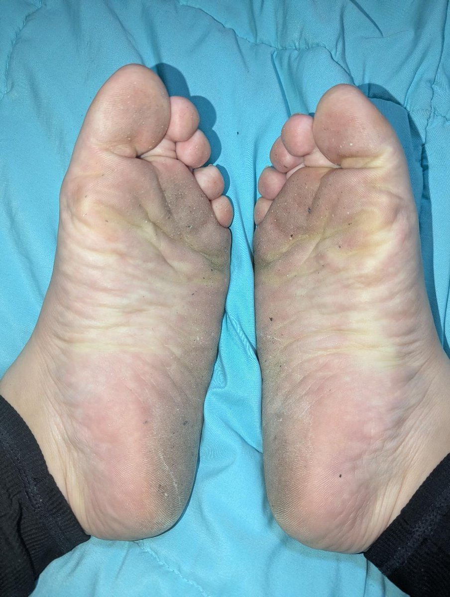 PrincessPanda tweet media