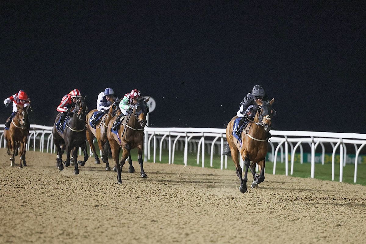 ChannonRacing's tweet image. Silver State dominates the field at Newcastle this evening making it two wins from his last two starts under Rose Dawes. Many congratulations to his owner Box 41 Racing II 🏆

#JCR  #JackChannonRacing