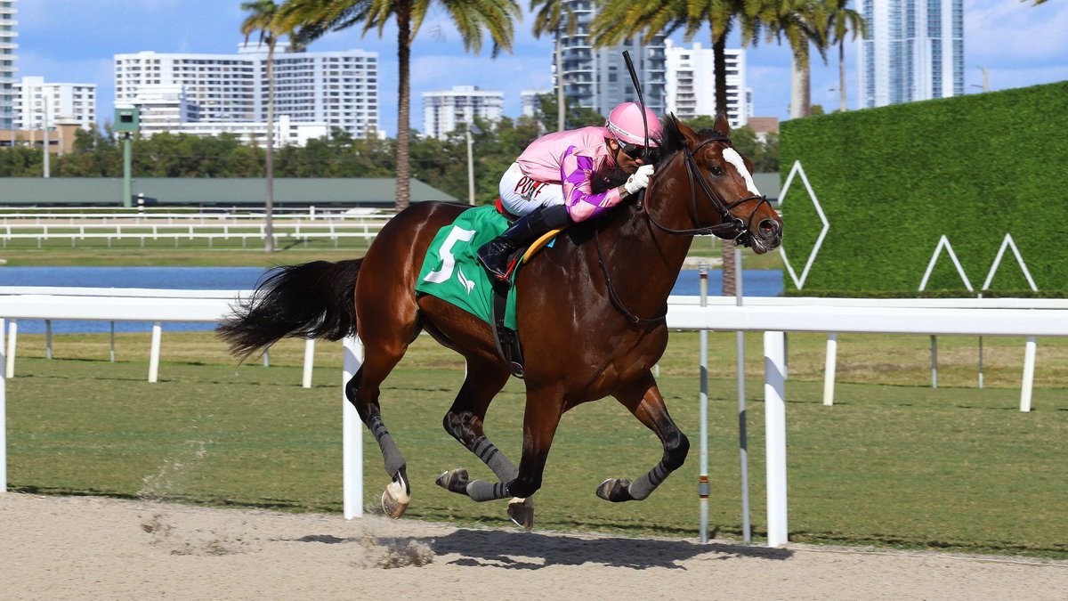 Gulfstream Park tweet media