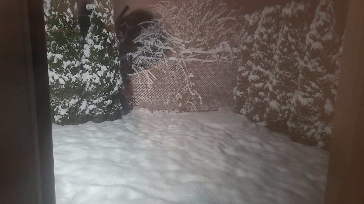 plonskim1's tweet photo. @meteo_expert https://t.co/TSMnYtuim8