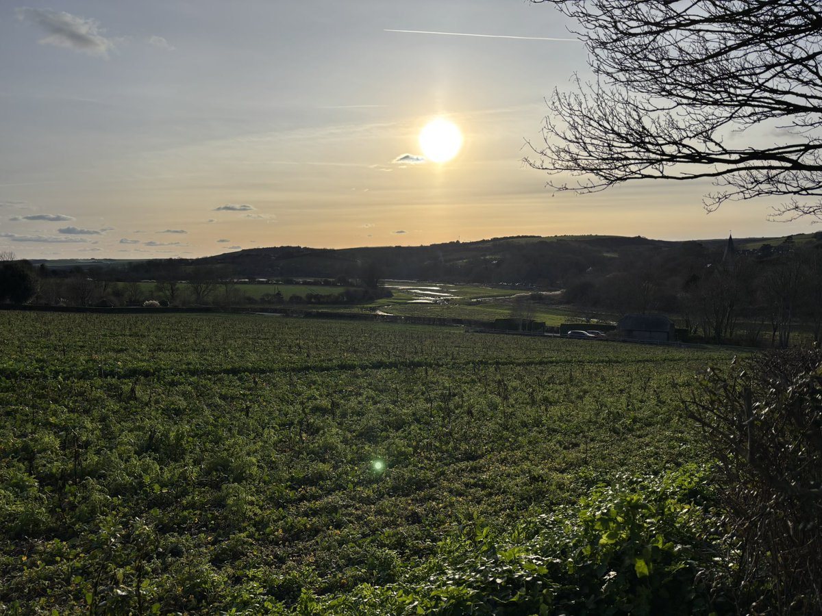 𝕎𝟜𝕟𝕜𝕗𝟜𝕥𝕙𝕖𝕣 (Top, Lad) tweet media