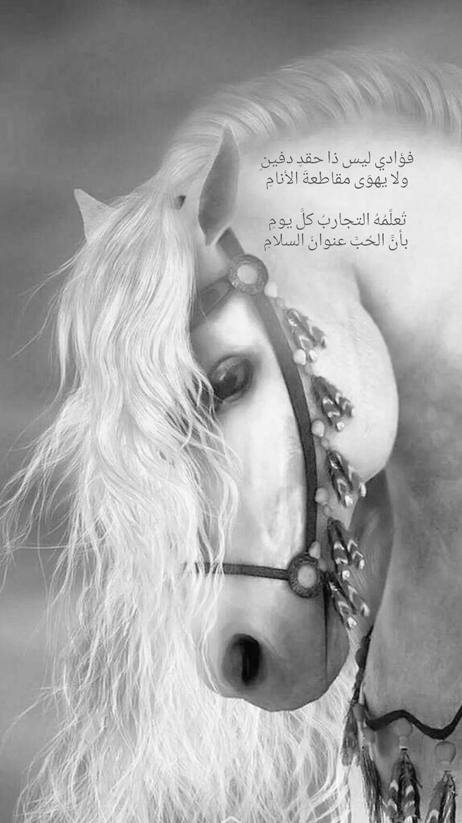 Assaf Al-Jubouri tweet media