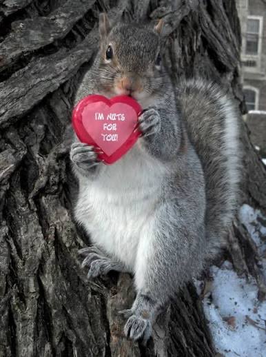 Happy Valentine’s Day!