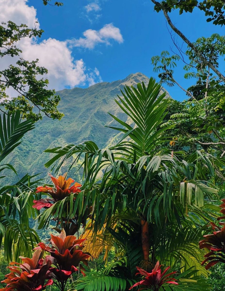 Aestheticc6mn's tweet image. #fypシ