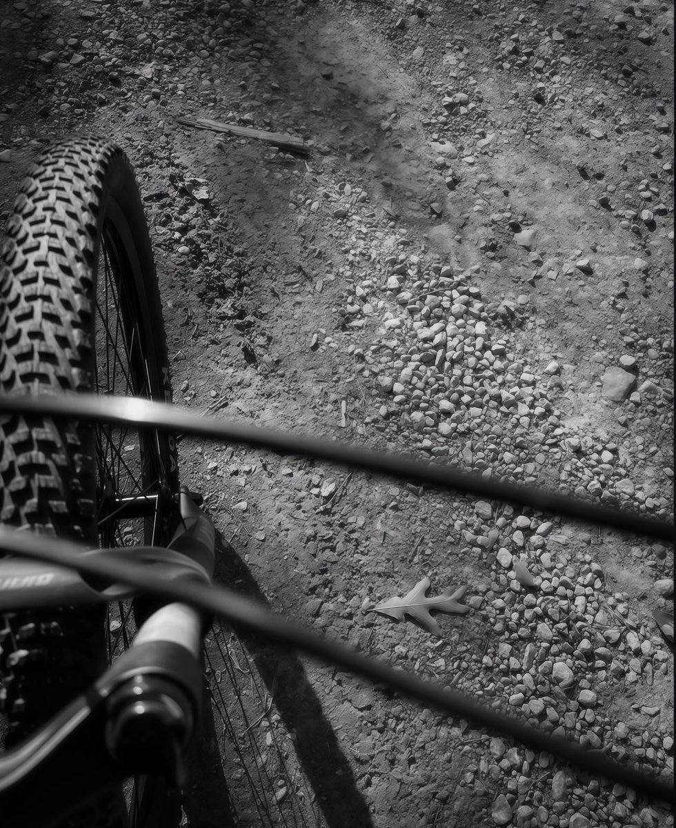 DEVILTRAEV's tweet image. 