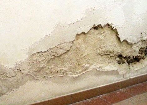WorldPlaymaker's tweet image. LETS TALK ABOUT DAMPNESS 

This is a very common problem in homes and buildings,it can also be caused by poor ventilation or when unwanted moisture enters the wall , ceiling,or floor.

It can permanently be treated and prevent futher health issues in the future 🎯