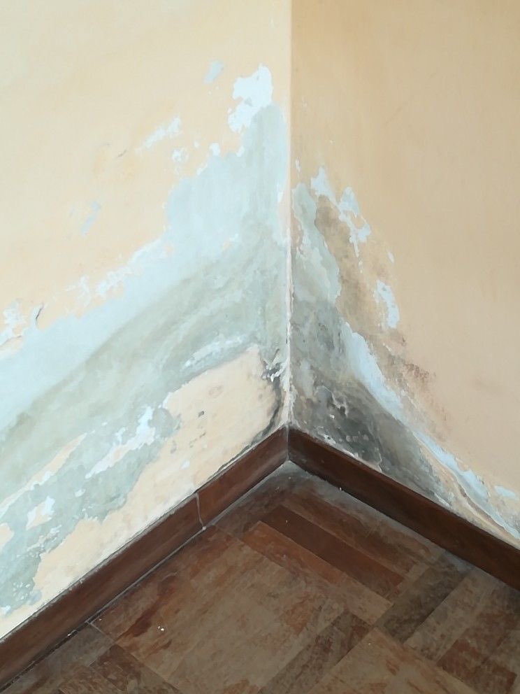 WorldPlaymaker's tweet image. LETS TALK ABOUT DAMPNESS 

This is a very common problem in homes and buildings,it can also be caused by poor ventilation or when unwanted moisture enters the wall , ceiling,or floor.

It can permanently be treated and prevent futher health issues in the future 🎯