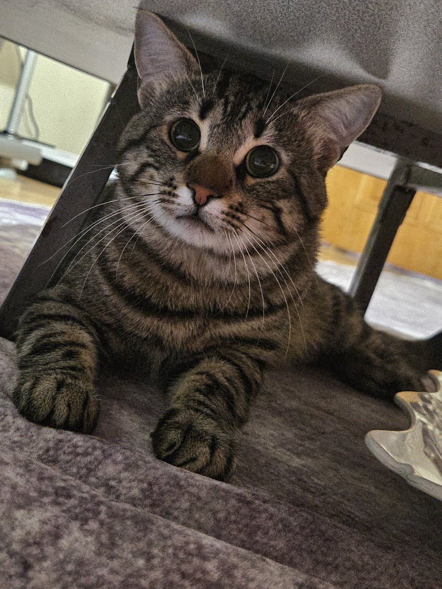 iki şapşal bırakıyorum buraya 😍